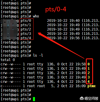 xshell客户端断开xshell总是自动断开-第2张图片-太平洋在线下载