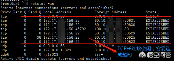 xshell客户端断开xshell总是自动断开-第4张图片-太平洋在线下载